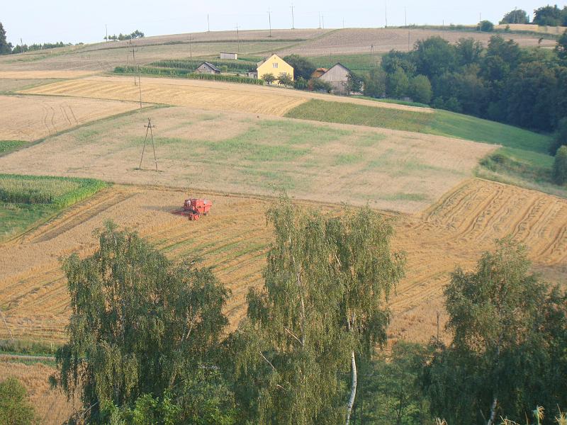 DSC02469