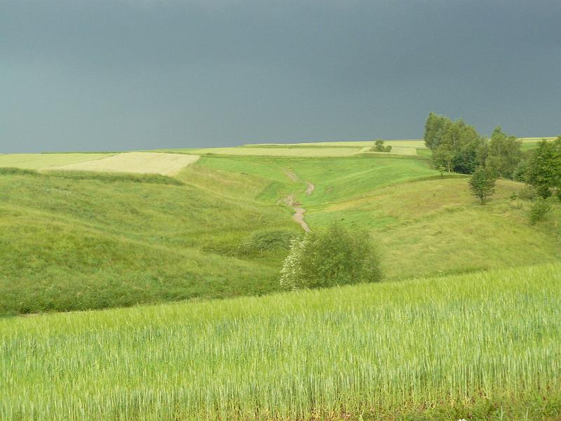 P1050132