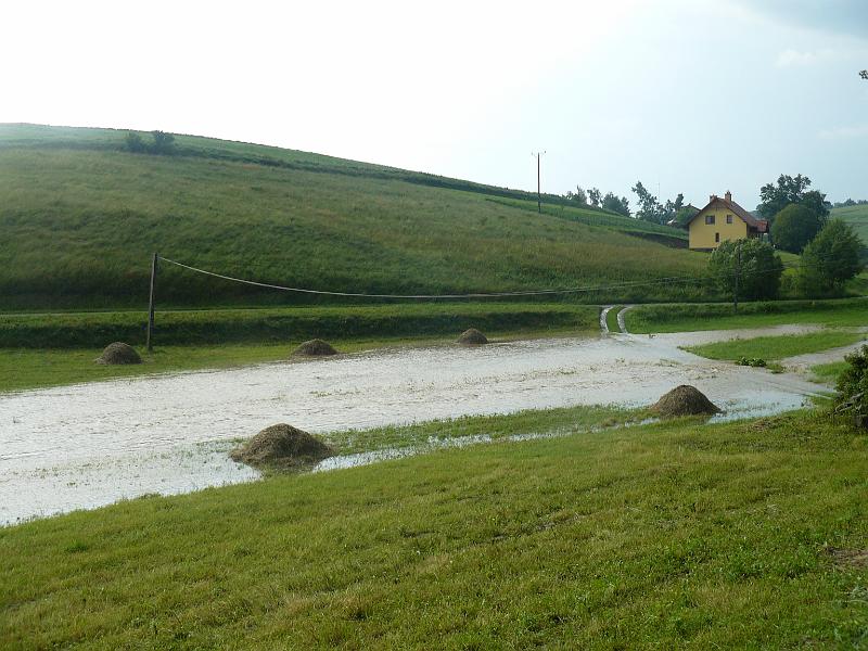 P1050135