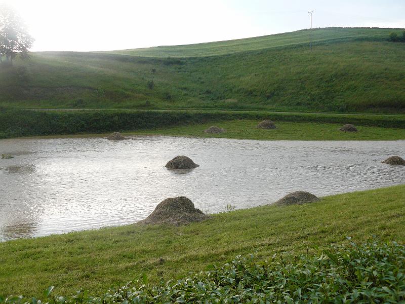 P1050139