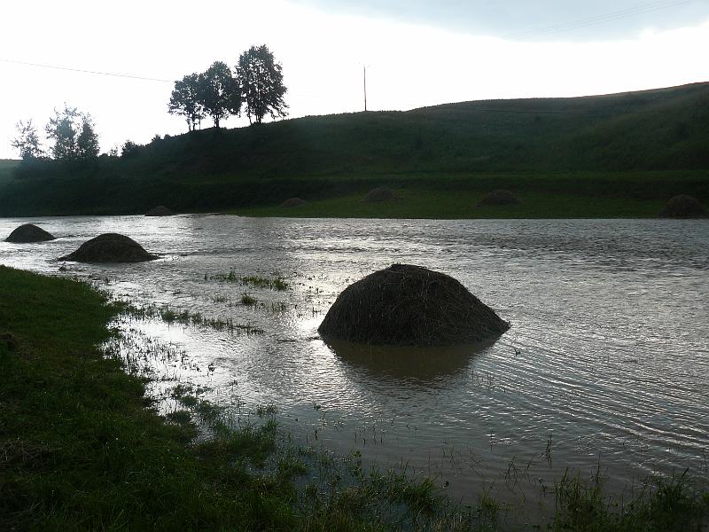 P1050146