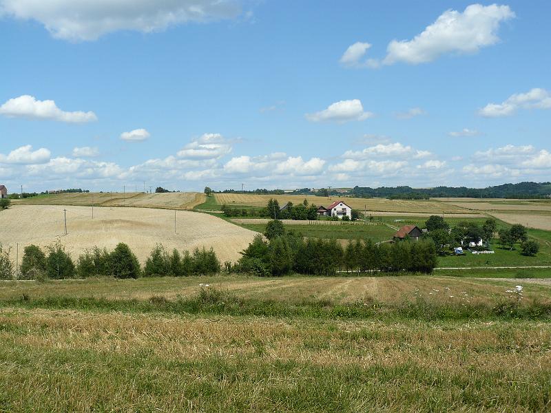 P1050242