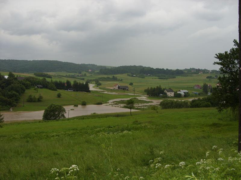 SDC11145