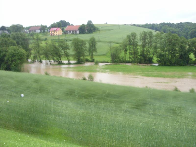 SDC11151