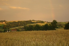 DSC01752
