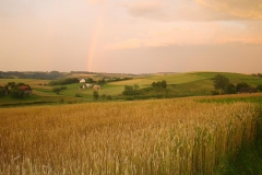 DSC01755
