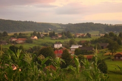 DSC01760