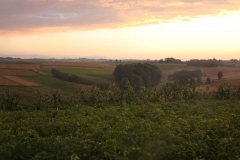 DSC01763