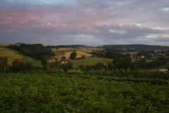 DSC01766