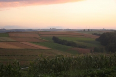 DSC01773