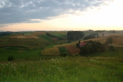 DSC01794
