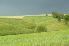 P1050132