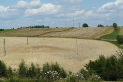 P1050235
