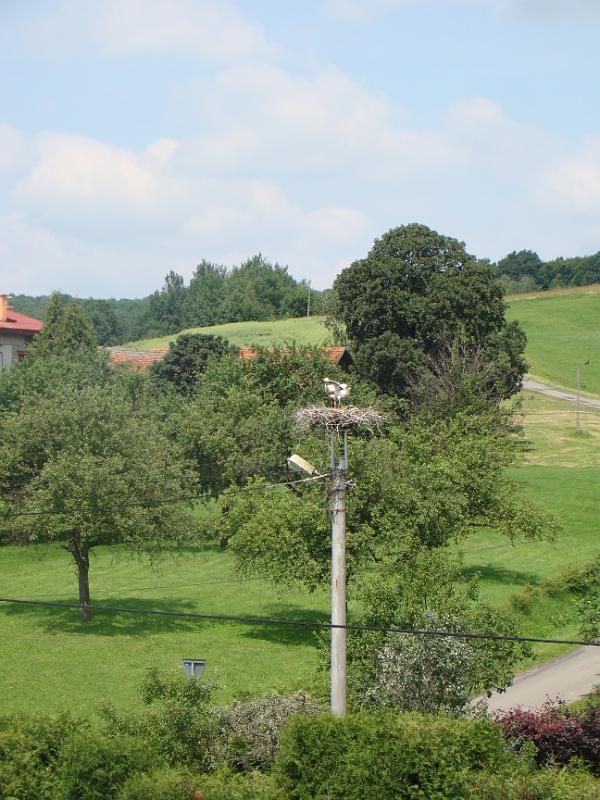 czerwiec2012 017