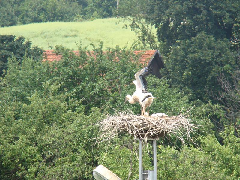 czerwiec2012 022