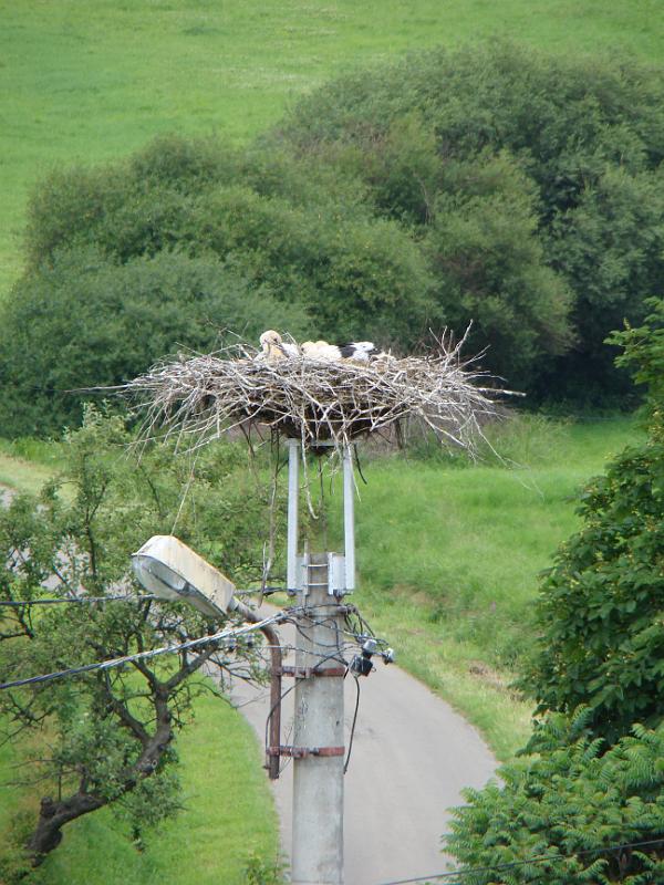 czerwiec2012 030