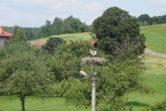 czerwiec2012 017
