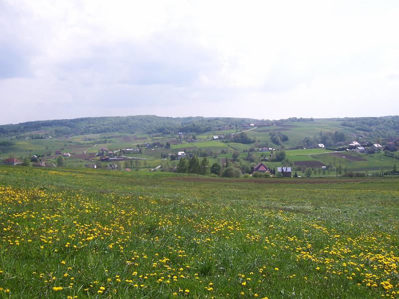 maj 08 030