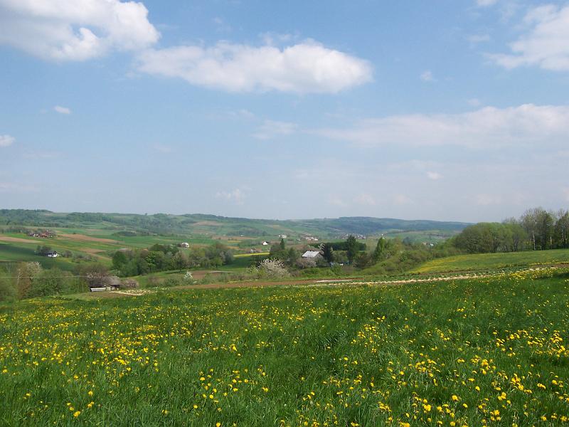 maj 08 037