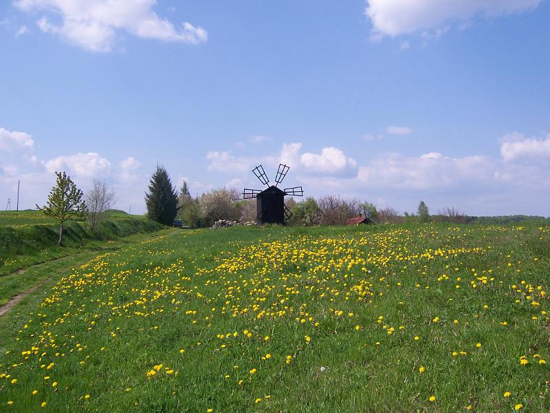 maj 08 053