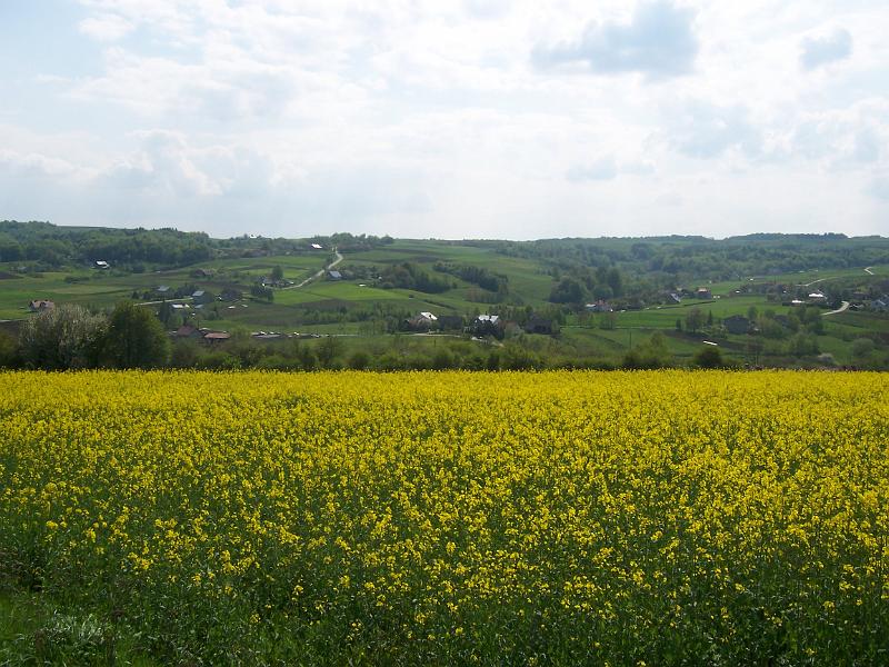maj 08 068