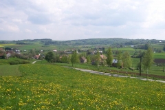 maj 08 019