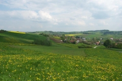 maj 08 021