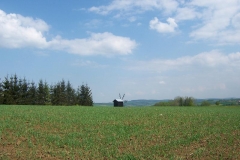 maj 08 028