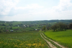 maj 08 032