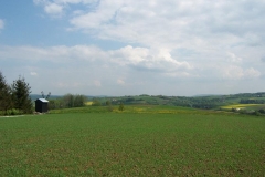 maj 08 034