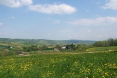 maj 08 037