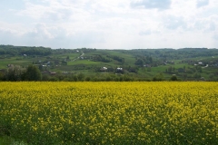 maj 08 068