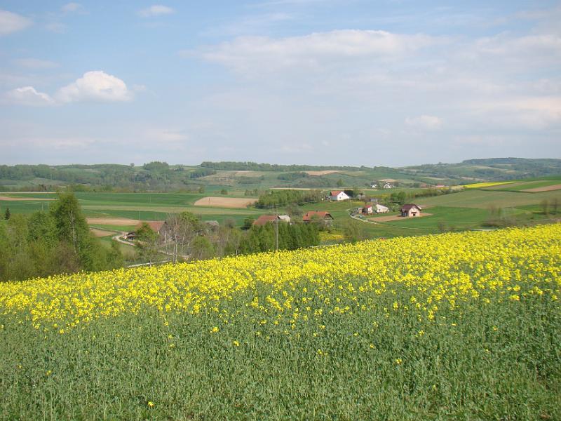 DSC04272