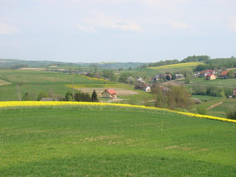 DSC04274