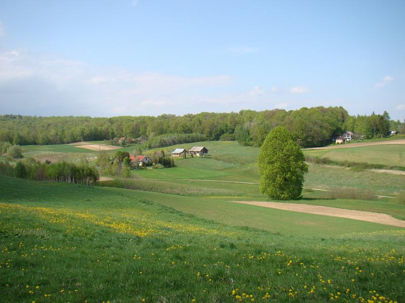 DSC04277