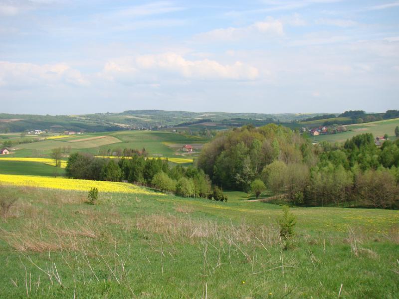 DSC04289