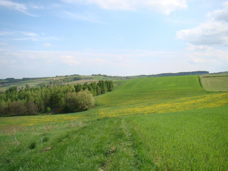 DSC04290