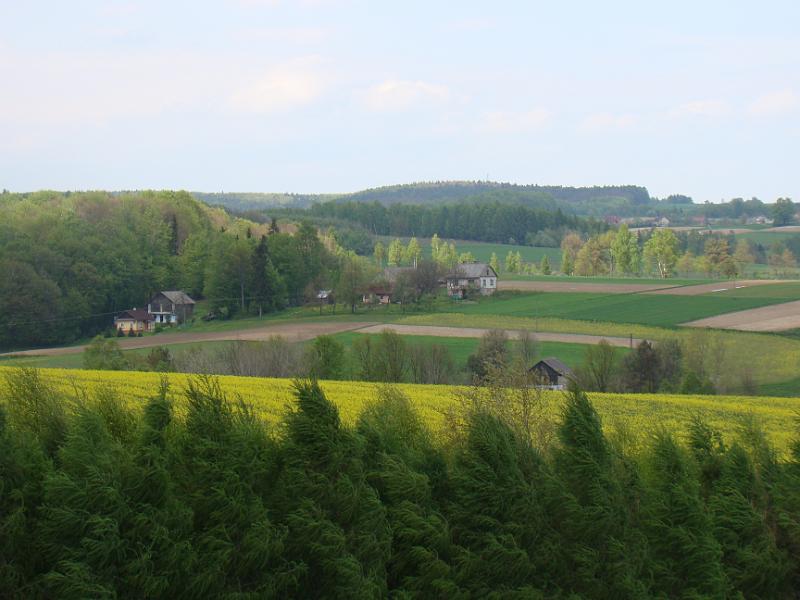 DSC04297