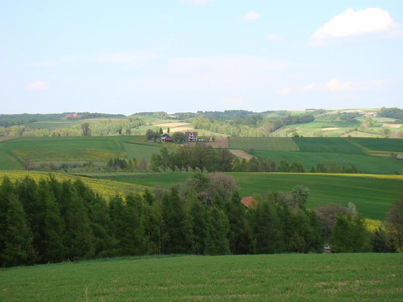 DSC04298