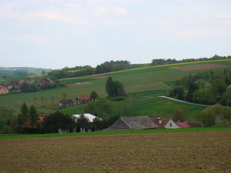 DSC04302