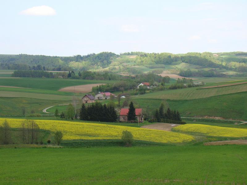 DSC04305