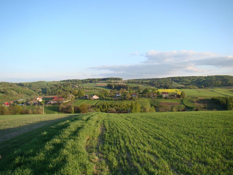 DSC04329