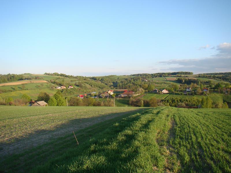 DSC04331