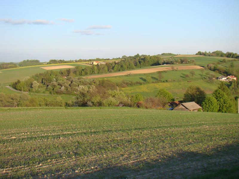 DSC04333
