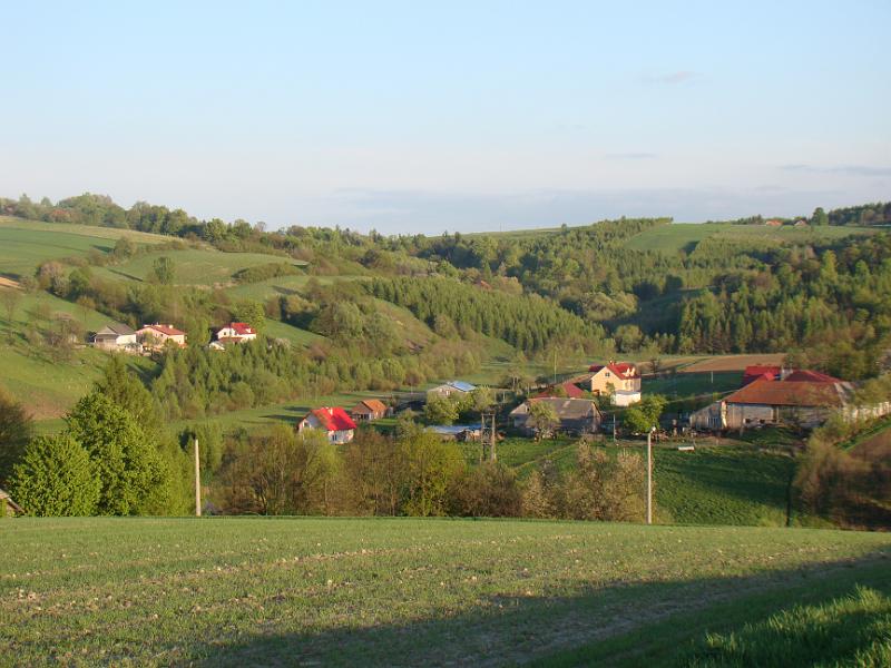 DSC04334