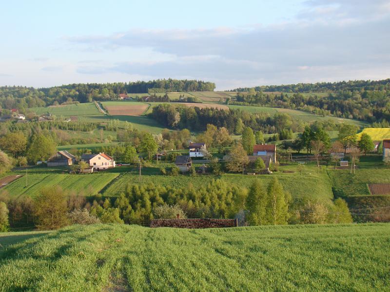 DSC04335