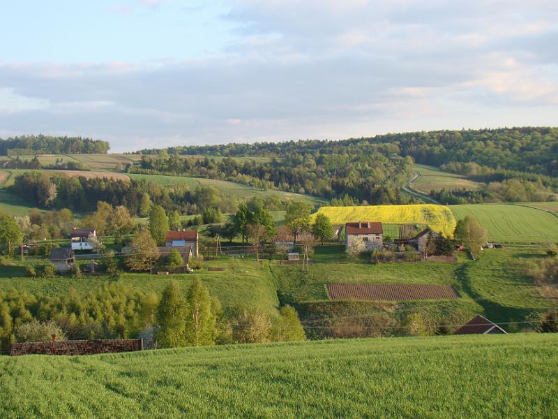 DSC04336