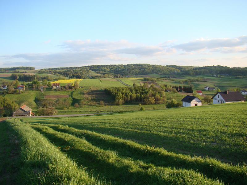 DSC04338