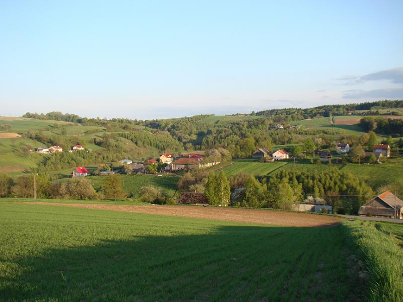 DSC04340