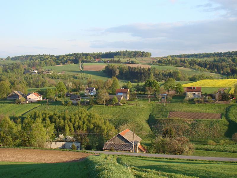 DSC04341